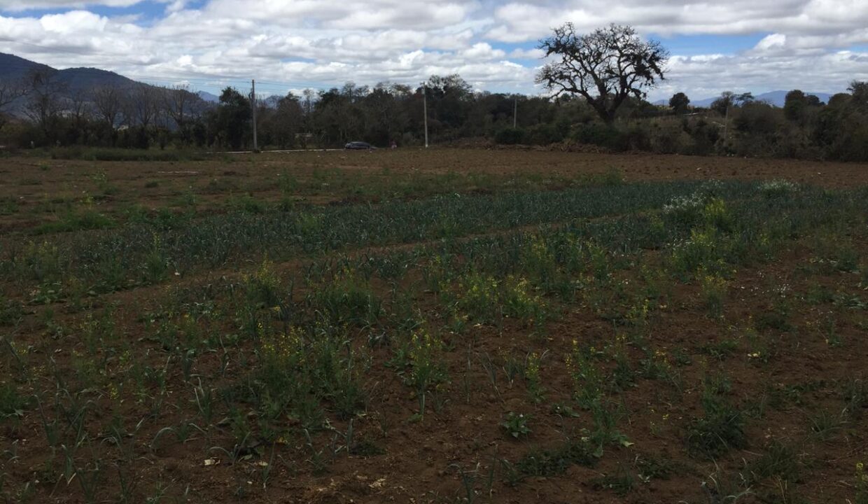 d61b5bd2-7c73-4313-91de-355a83b84051