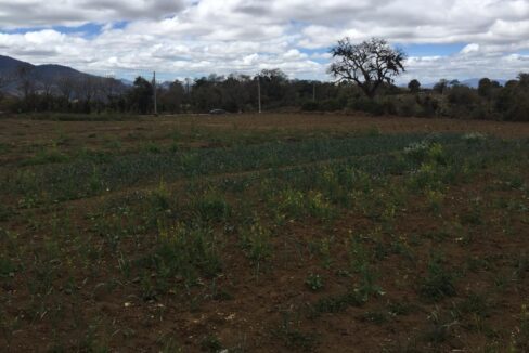 d61b5bd2-7c73-4313-91de-355a83b84051